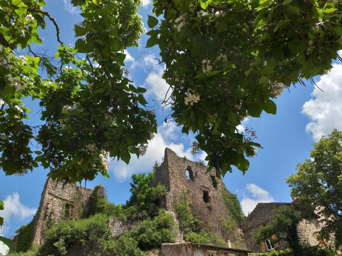 Les Pentes Du Chateau De Retourtour Lamastre Kültér fotó
